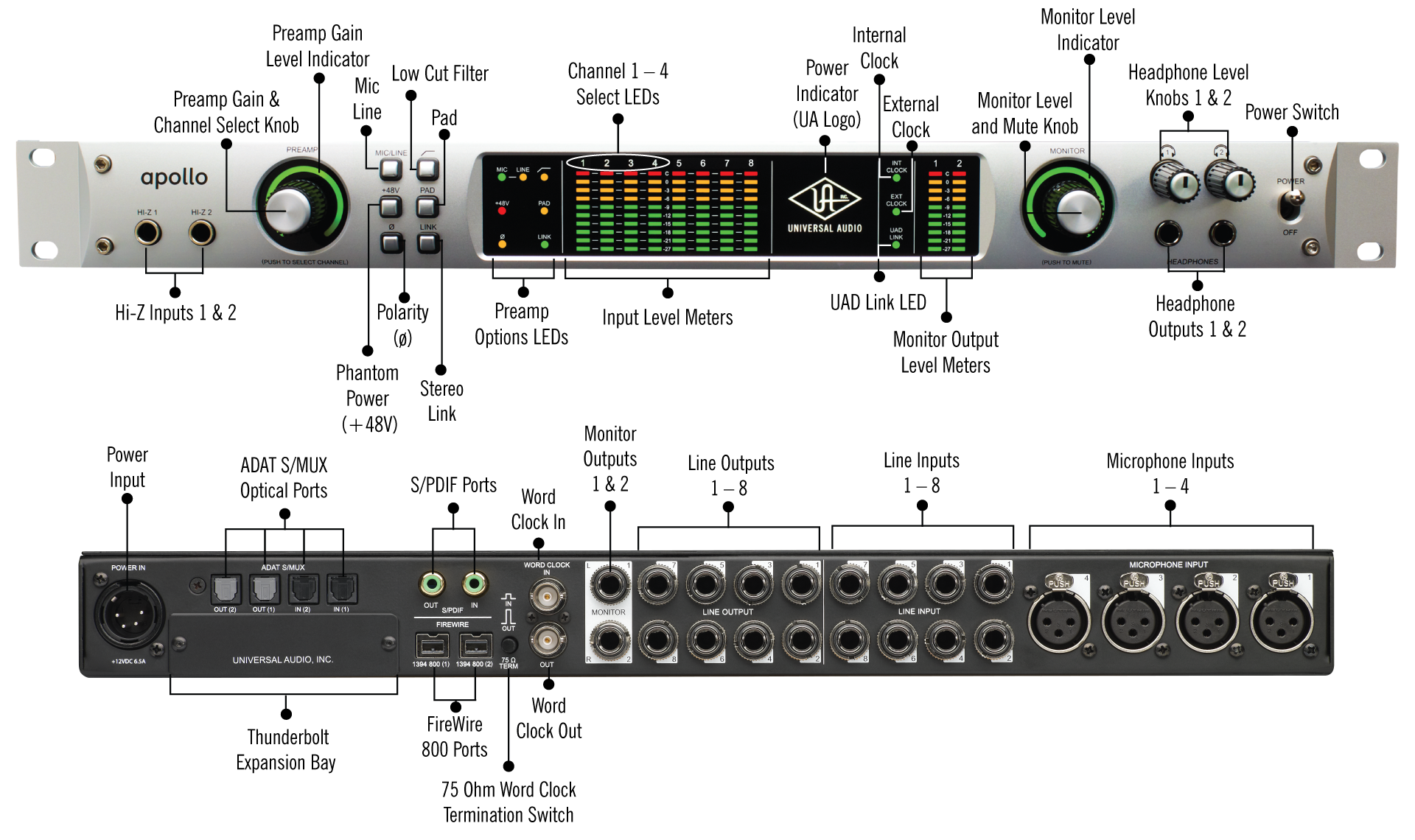 UAD Apollo Concept in out